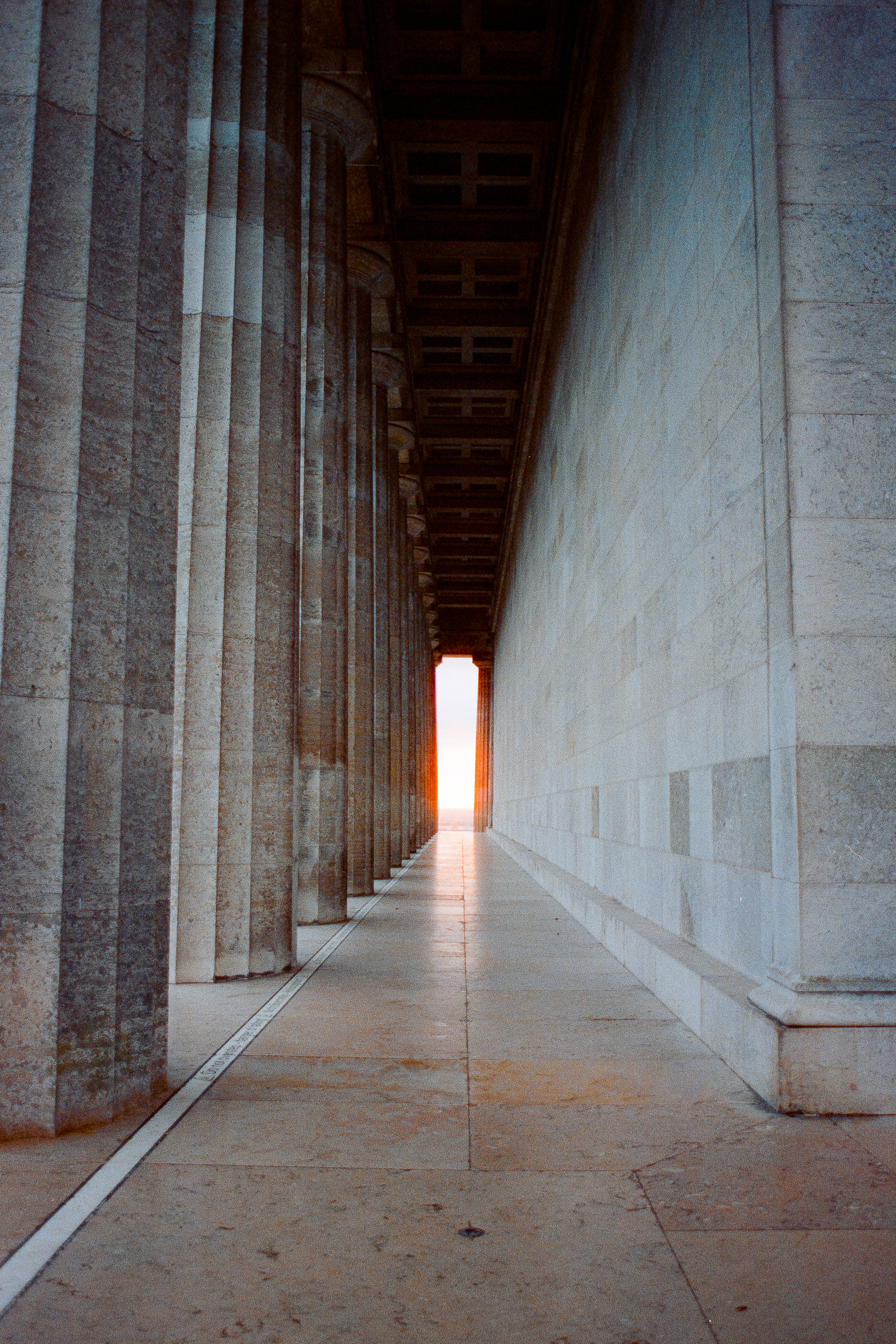 CineStill 800T.