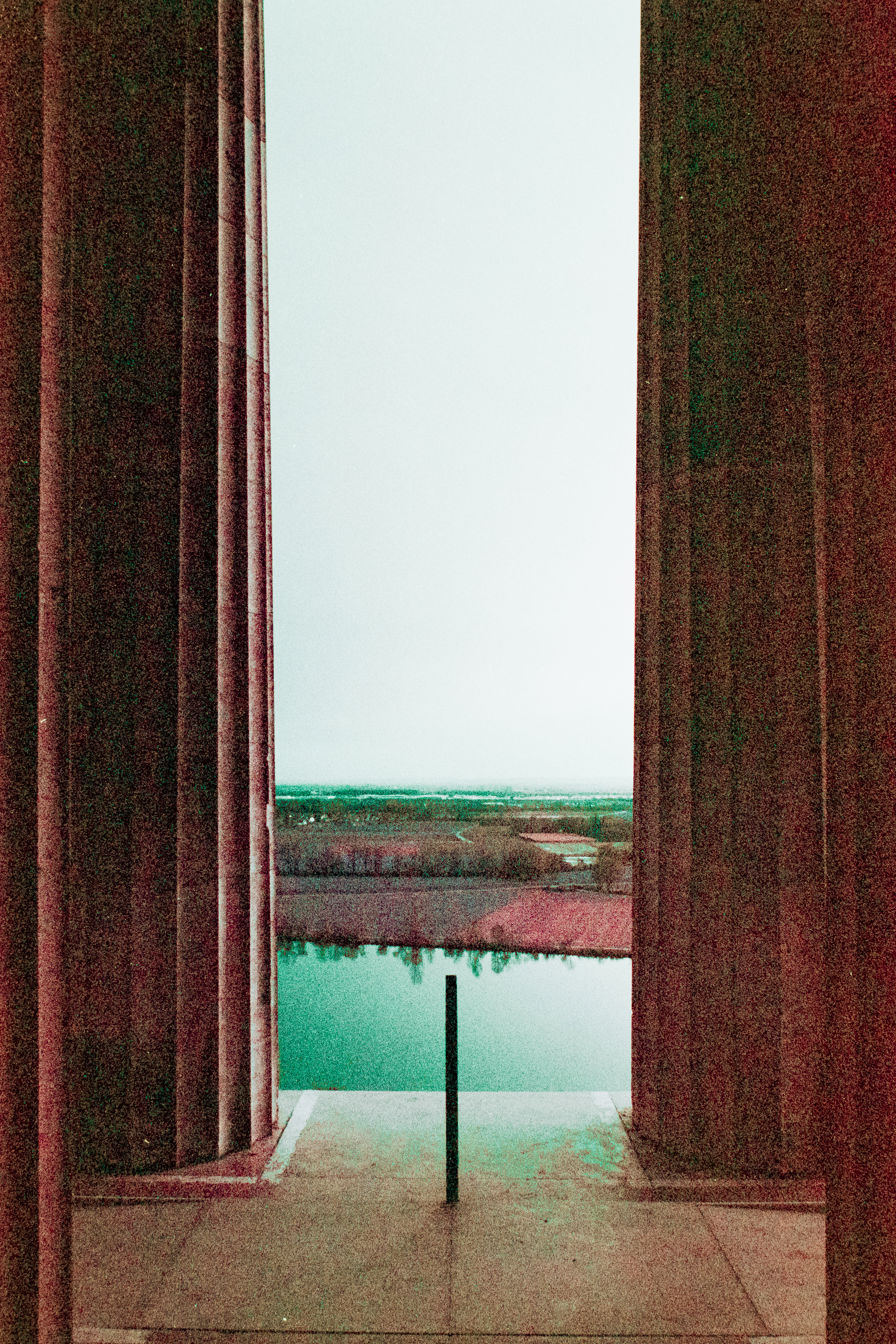 Lomochrome Purple.